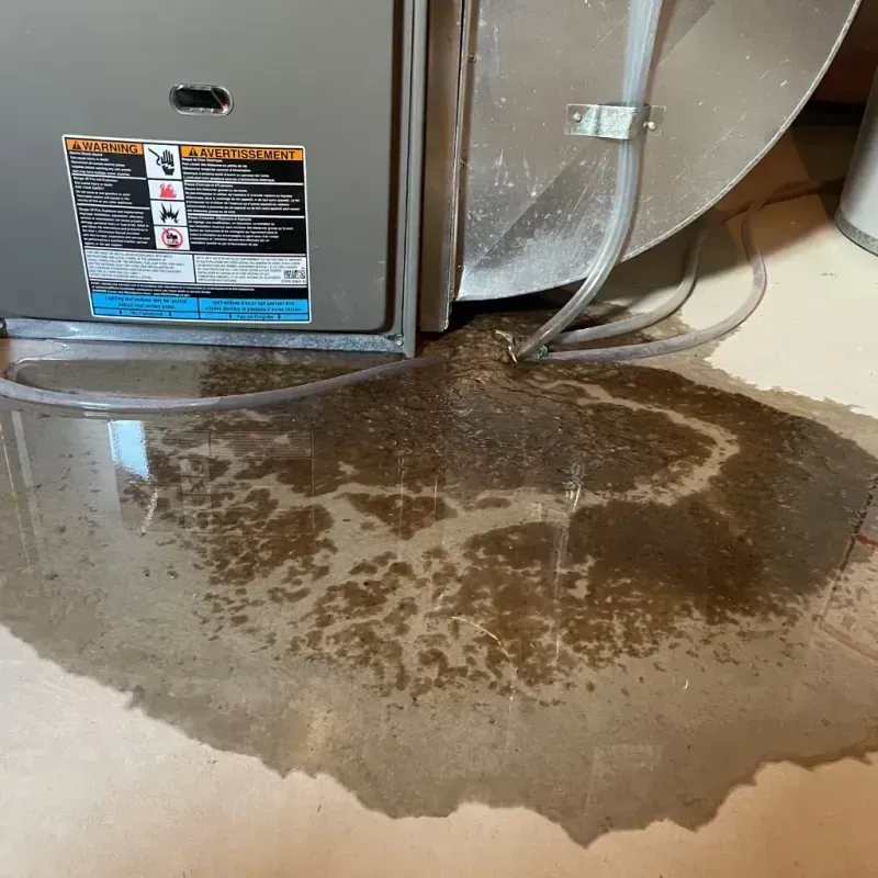 Appliance Leak Cleanup in North Barrington, IL